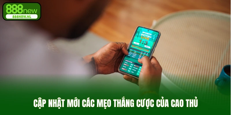 Cập nhật mới các mẹo thắng cược của cao thủ