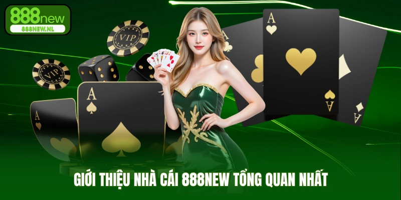 Giới Thiệu 888NEW Tổng Quan Nhất